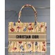 Replicas Christian Dior Small Book Tote Albaricoque Baratos Imitacion