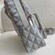 Replicas Bolso bandolera de lona Dior Mini Rider CD Diamond gris Baratos