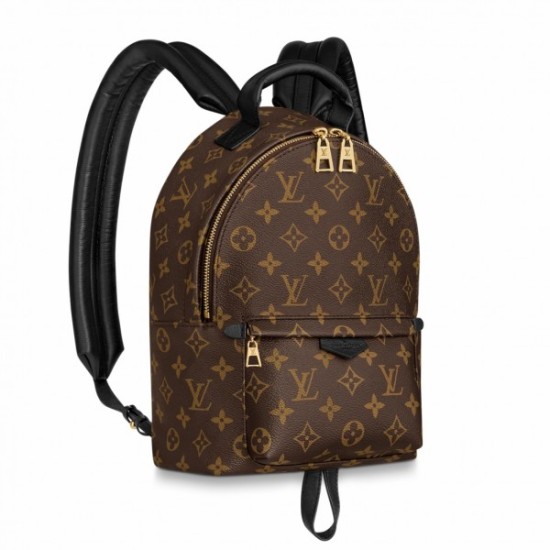 Replica Louis Vuitton Palm Springs PM Mochila Monogram Canvas M44871 Imitacion Rebajas