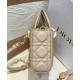 Replicas Bolso Christian Dior Small Lady D-Joy Milk Charol Cannage Calf Albaricoque Baratos