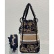 Replicas Christian Dior Bolso mediano Lady D-Lite negro Baratos España