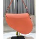 Replicas Bolso Saddle Christian Dior Rojo Baratos España